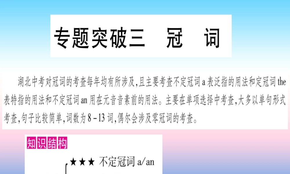 (湖北专用版)版中考英语复习 第二篇 中考专题突破 第一部分 语法专题 专题突破3 冠词课件