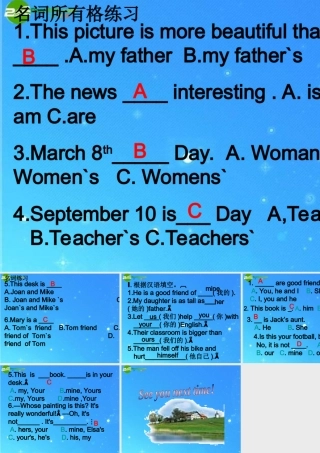 中考英语专题复习 所有格和代词 课件 人教新目标版 课件