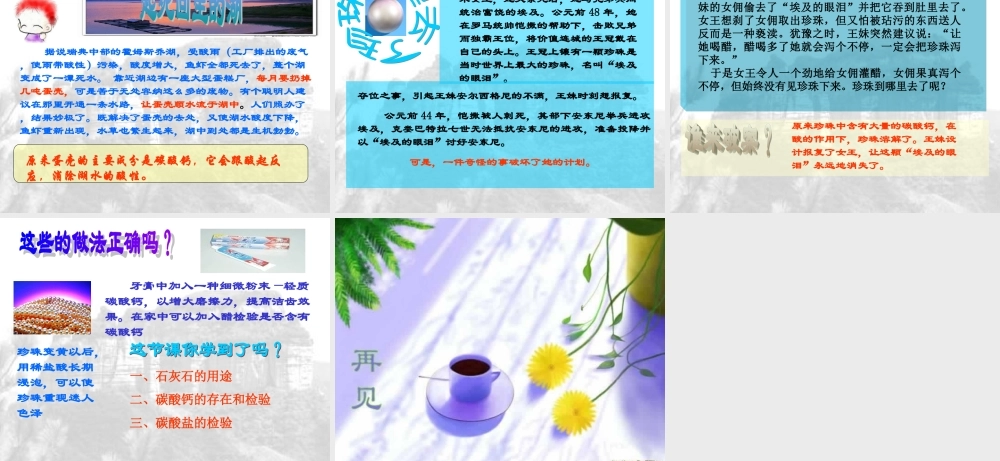 九年级化学第五章地四节石灰石的利用课件