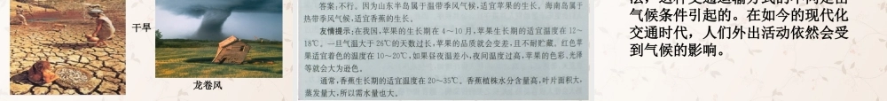 七年级地理上册 第4章 活动课气候与我们的生产生活教案 (新版)商务星球版 课件