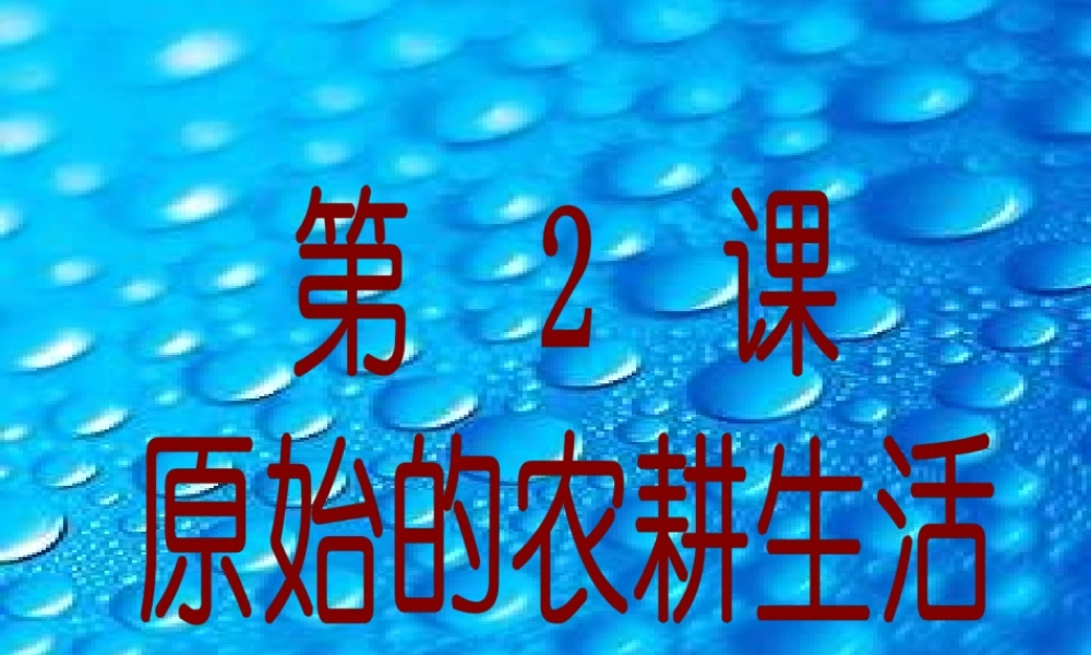 七年级历史上册 原始的农耕生活课件 人教新课标版 课件