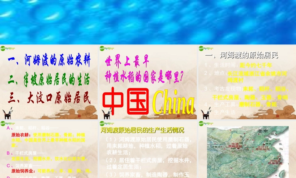 七年级历史上册 原始的农耕生活课件 人教新课标版 课件