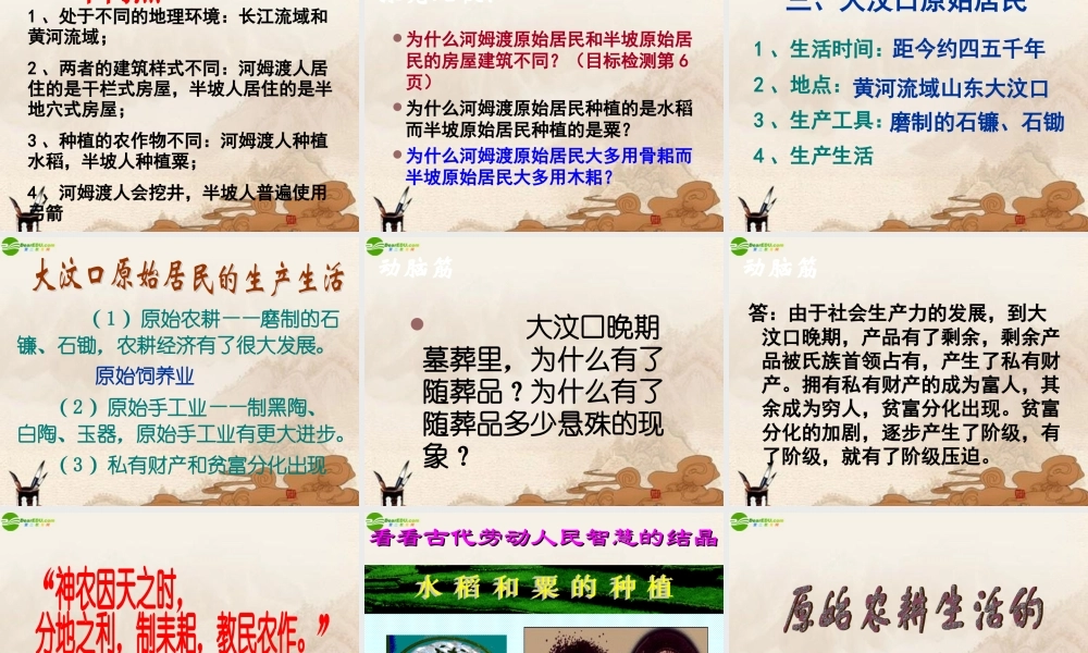 七年级历史上册 原始的农耕生活课件 人教新课标版 课件