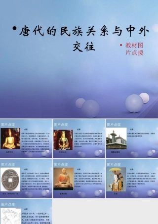 (秋季版)七年级历史下册 第六单元 第25课 唐代的民族关系与对外交往(唐代的民族关系与中外交往)素材 岳麓版 素材