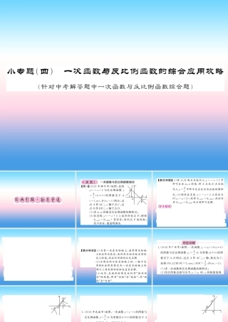 (课标版通用)中考数学总复习 第二轮 小专题集训 题型专攻 小专题(四)习题课件