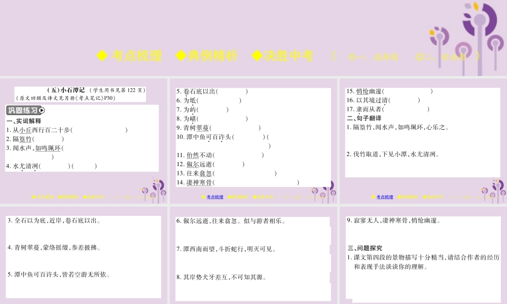 中考语文复习 第二部分 古诗文积累与阅读 专题二 文言文(五)(小石潭记)课件