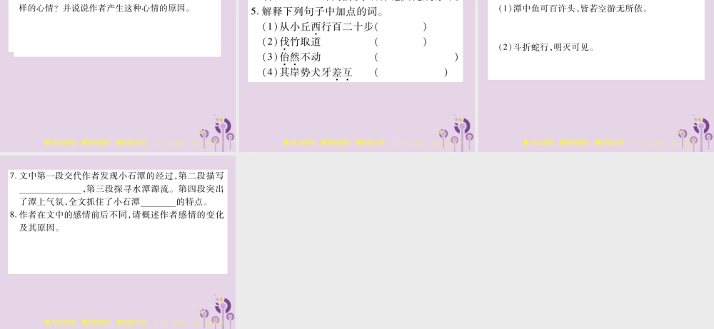 中考语文复习 第二部分 古诗文积累与阅读 专题二 文言文(五)(小石潭记)课件