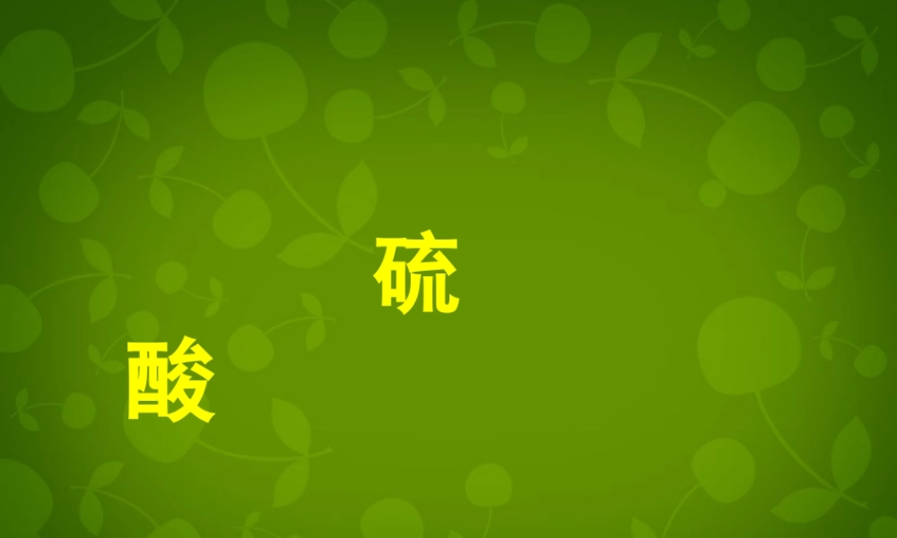 九年级化学上册 硫酸课件 新人教版 课件