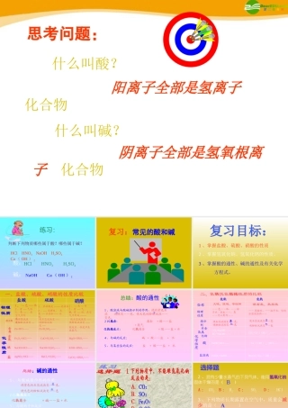九年级化学 酸碱复习课件 鲁教版 课件