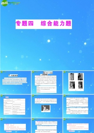 中考物理复习 专题4 综合能力题 人教新课标版课件 人教新课标版 课件