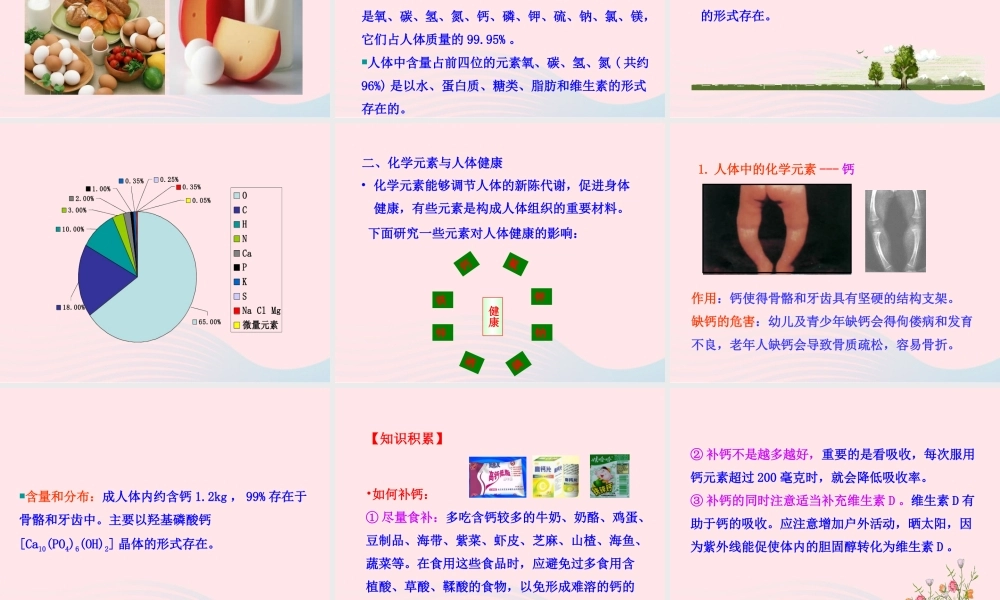 九年级化学下册 第十二单元 化学与生活 课题2 化学元素与人体健康课件 新人教版 课件
