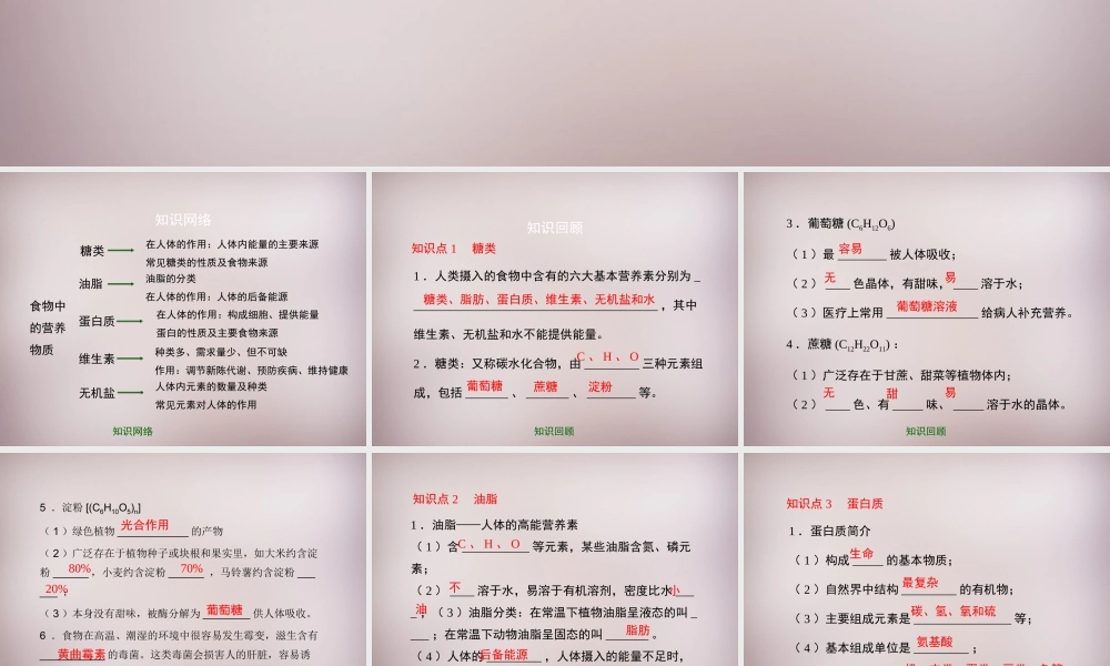 九年级化学下册 第13章 第1节(食物中的营养物质)复习课件 (新版)北京课改版 课件
