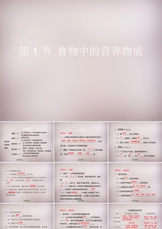 九年级化学下册 第13章 第1节(食物中的营养物质)复习课件 (新版)北京课改版 课件
