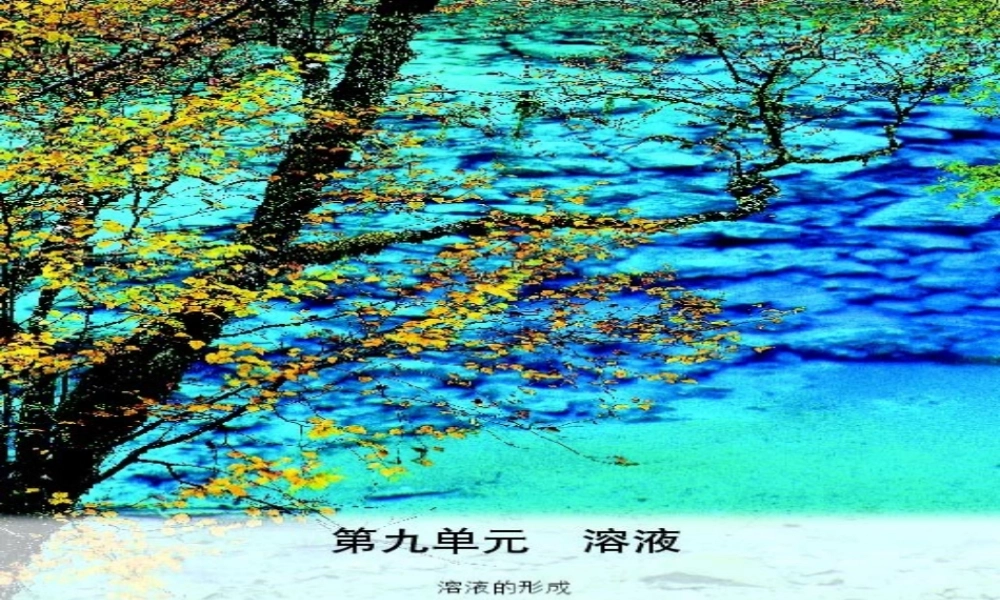 九年级化学 溶液 课件