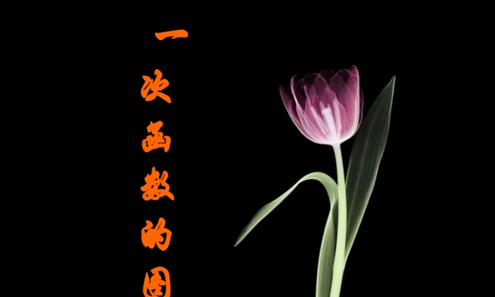 一次函数的图象(二) 人教版八年级数学上册 一次函数的图象课件 人教版八年级数学上册 一次函数的图象课件