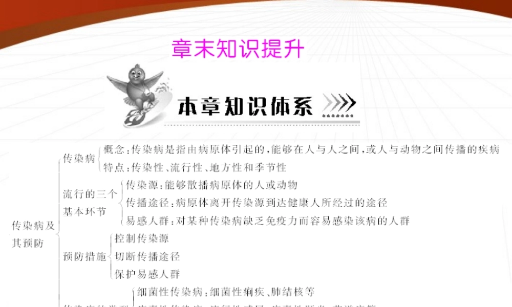 (随堂优化训练)八年级生物下册 第八单元 第一章 章末知识提升 配套课件 人教新课标版 课件