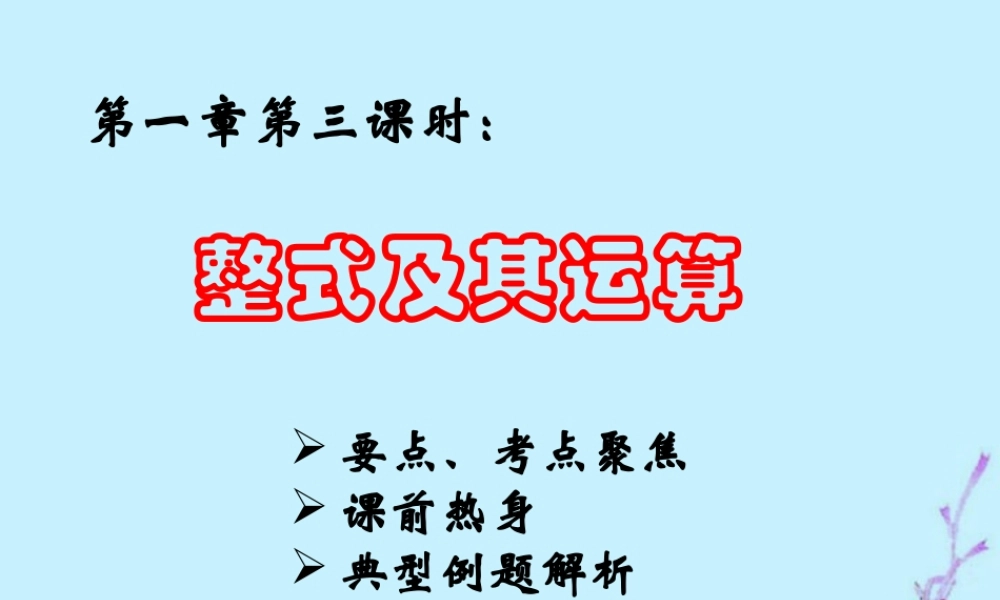 中考数学整式及其运算复习课件三 课件