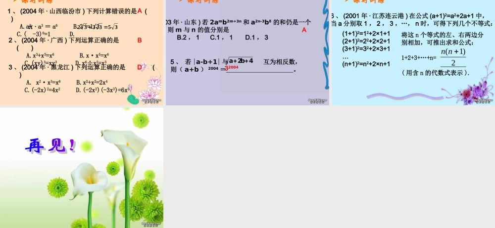 中考数学整式及其运算复习课件三 课件