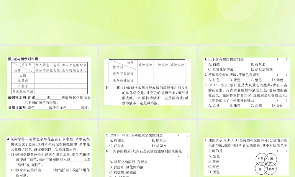 九年级化学下册 第十单元 酸和碱 课题1 第1课时 酸碱指示剂复习课件 (新版)新人教版 课件