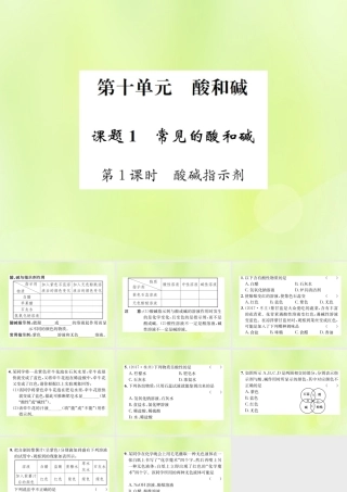 九年级化学下册 第十单元 酸和碱 课题1 第1课时 酸碱指示剂复习课件 (新版)新人教版 课件