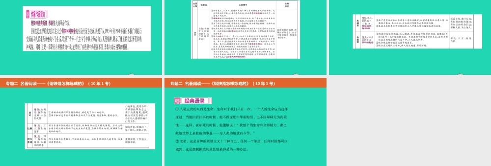 中考语文总复习 第二部分 语文积累与综合运用 专题二 名著阅读(钢铁是怎样炼成的)课件