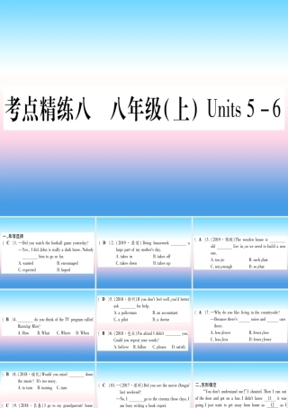 (湖北专用版)版中考英语复习 第一篇 教材系统复习 考点精练八 八上 Units 5 6实用课件