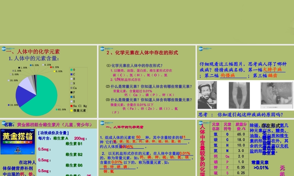 九年级化学下册 102 生物微量元素与健康课件 粤教版 课件