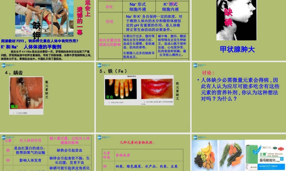 九年级化学下册 102 生物微量元素与健康课件 粤教版 课件