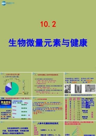 九年级化学下册 102 生物微量元素与健康课件 粤教版 课件