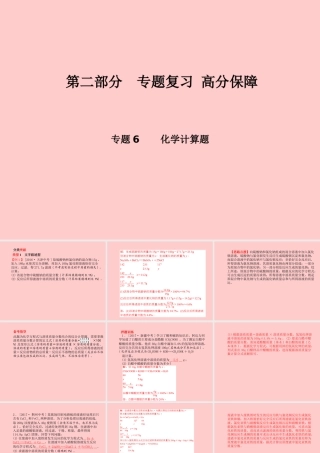 (滨州专版)中考化学总复习 第二部分 专题复习 高分保障 专题6 化学计算题课件 鲁教版 课件