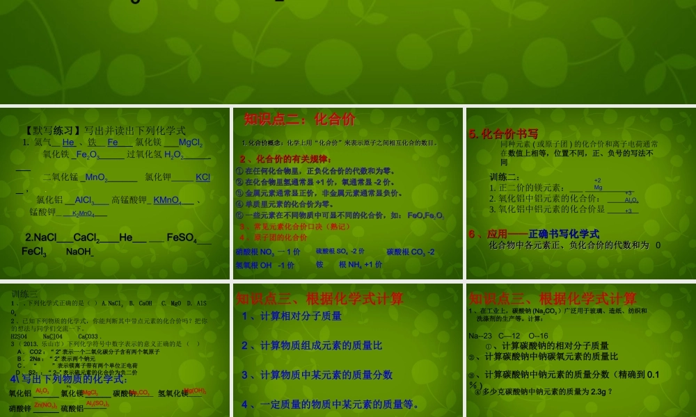 九年级化学上册 第四单元 物质构成的奥秘复习课件1 新人教版 课件