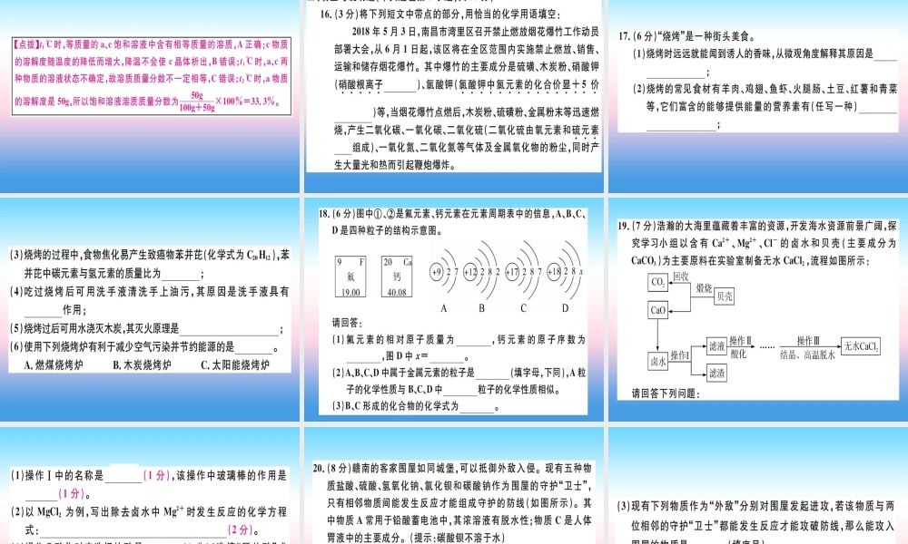 九年级化学下册 中考模拟卷(二)习题课件 (新版)新人教版 课件