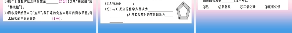 九年级化学下册 中考模拟卷(二)习题课件 (新版)新人教版 课件