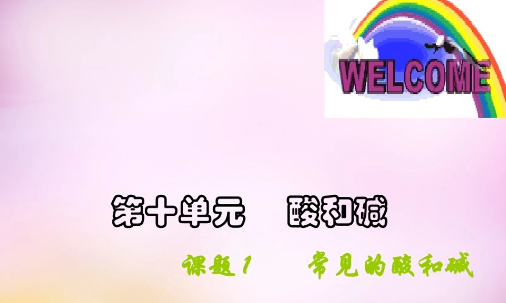 九年级化学下册 第十单元 课题1 常见的酸和碱课件 新人教版 课件