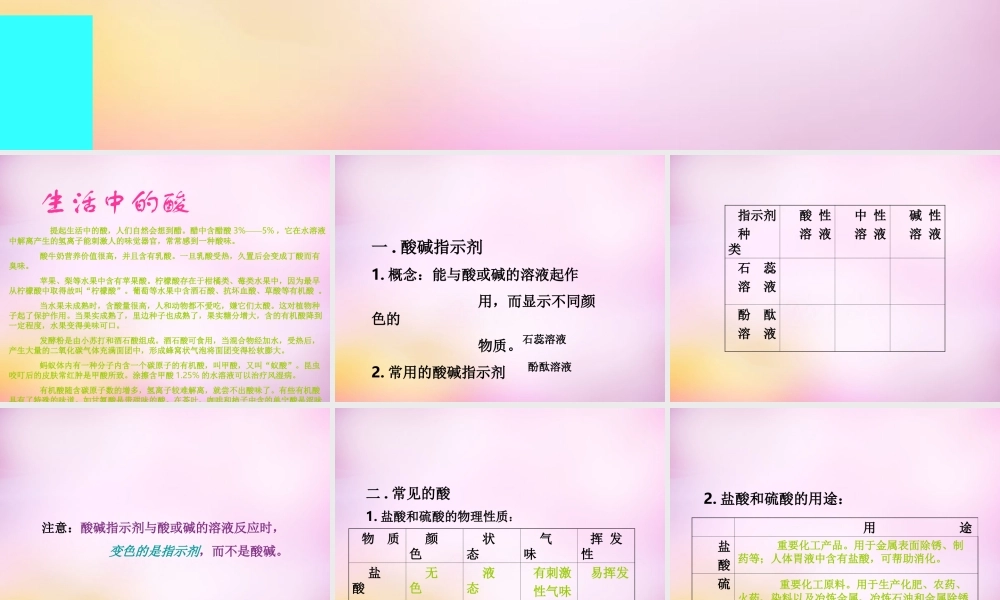 九年级化学下册 第十单元 课题1 常见的酸和碱课件 新人教版 课件