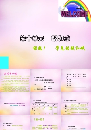 九年级化学下册 第十单元 课题1 常见的酸和碱课件 新人教版 课件