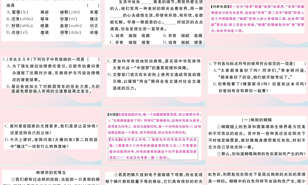 (武汉专版)八年级语文下册 第二单元 7 大雁归来习题课件 新人教版 课件