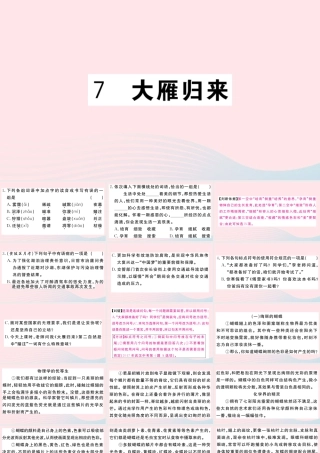 (武汉专版)八年级语文下册 第二单元 7 大雁归来习题课件 新人教版 课件