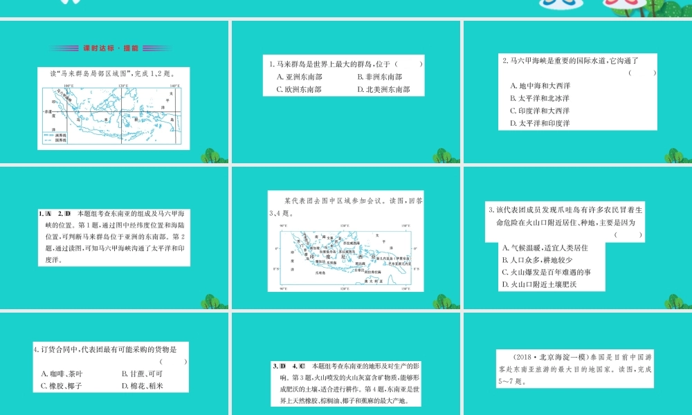 七年级地理下册 第七章 第二节 东南亚习题课件(新版)新人教版 课件