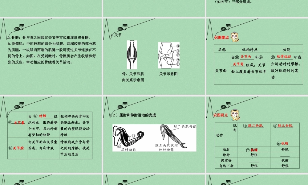 中考生物 第一部分 教材知识梳理 第6单元 第17 18章 复习课件 苏教版 课件