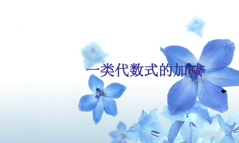 七年级数学一类代数式的加减课件 湘教版 课件