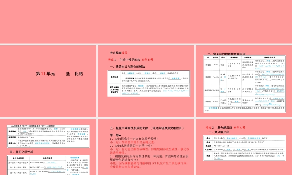 (潍坊专版)中考化学总复习 第一部分 系统复习 成绩基石 第十一单元 盐 化肥课件 新人教版 课件