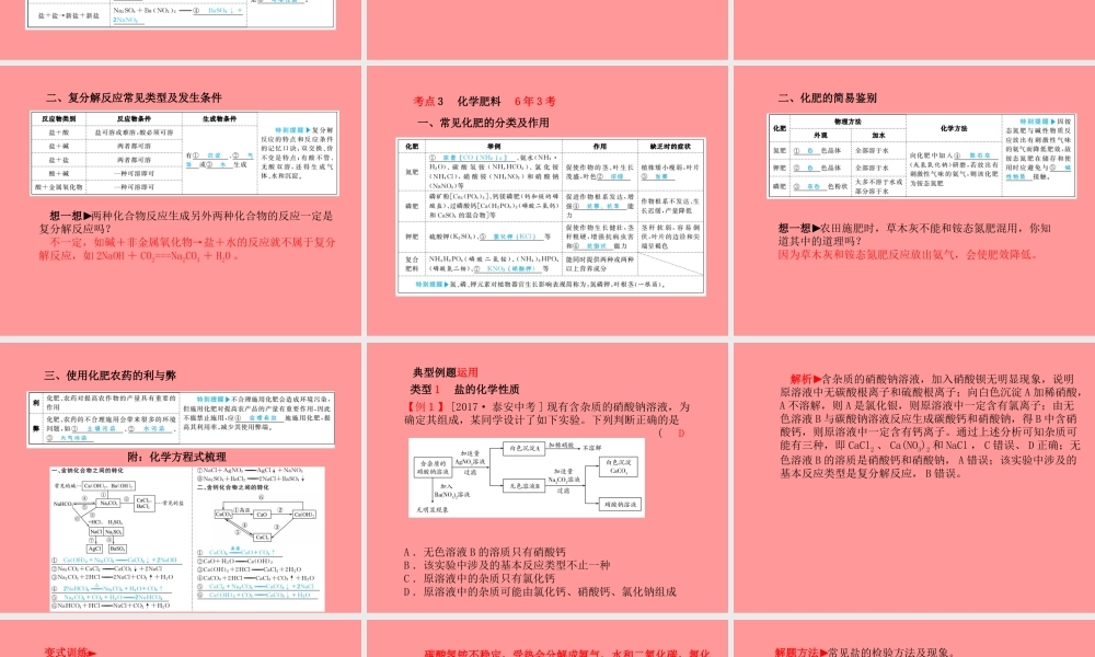 (潍坊专版)中考化学总复习 第一部分 系统复习 成绩基石 第十一单元 盐 化肥课件 新人教版 课件