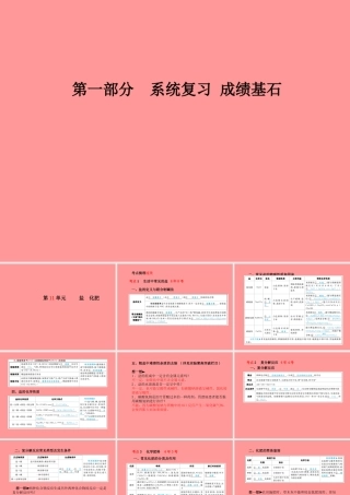 (潍坊专版)中考化学总复习 第一部分 系统复习 成绩基石 第十一单元 盐 化肥课件 新人教版 课件