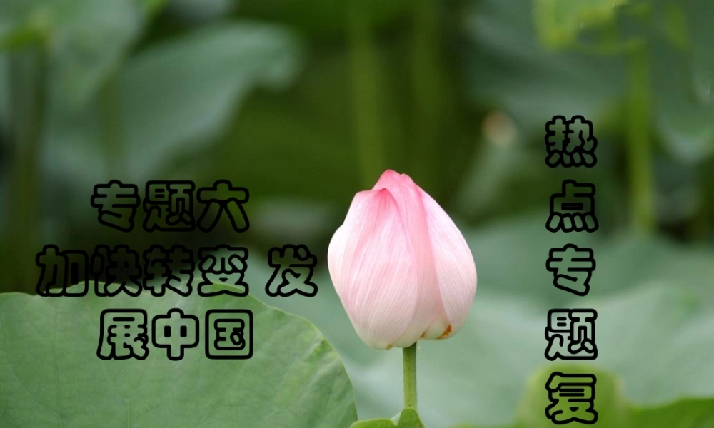中考热点系列 专题六 加快转变 发展中国 课件