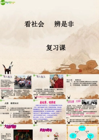 七年级政治下册 看社会 辨是非复习课件 鲁教版 课件