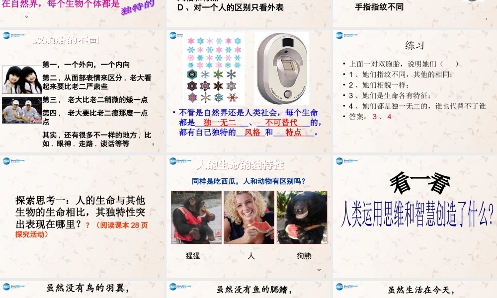 七年级政治上册 3.2 生命因独特而绚丽课件1 新人教版 课件