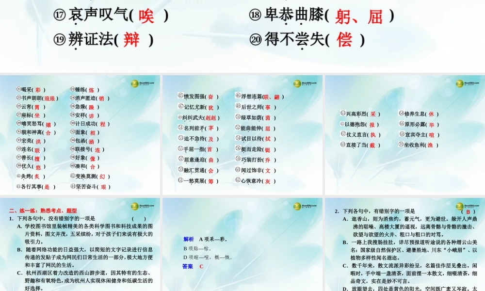(浙江专用)高考语文二轮复习 考前三个月 第二部分  第一章  微专题二 字形配套课件