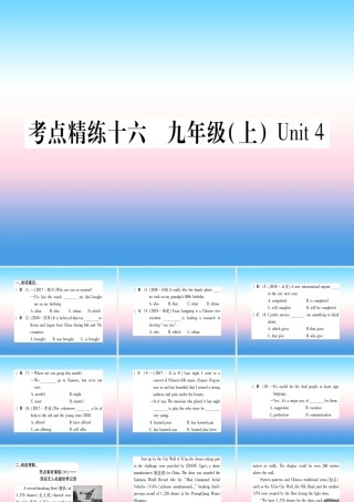 中考英语准点备考 第一部分 教材系统复习 考点精练十六 九上 Unit 4课件