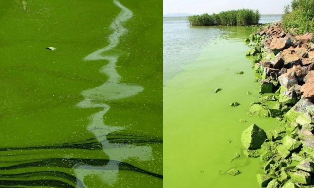 九年级化学(总复习情境题)课件